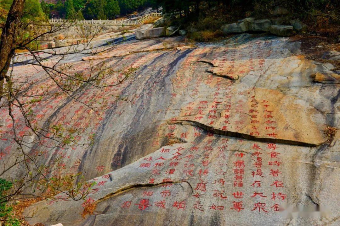 巧虎踢足球